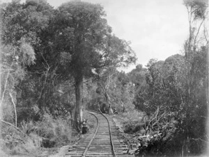 Section of the Main Trunk Line, Southland