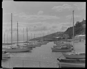 Yachts at Oriental Bay, Wellington