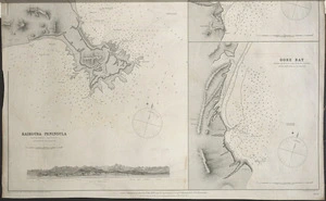 Anchorages on the East Coast / surveyed by George Austin Woods Esqre, colonial marine surveyor,1868 ; assisted by Messrs. W.H. Pilliet, C.G. Knight, Fox & Chapman; C. Campbell partially from the officers of H.M.S. Acheron, 1850; drawn by R.C. Carrington Hyd. Off..