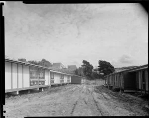 Housing development, Regent Street, Wellington