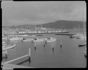 Oriental Bay marina from overseas terminal, Clyde Quay, Wellington harbour