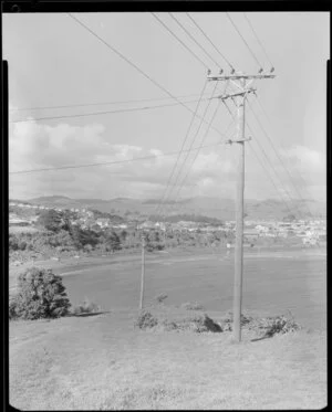 Power pole, overlooking bay, Porirua, Wellington