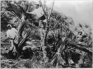 Men handling bundles of flax leaves
