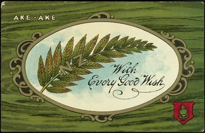 [Postcard]. Ake-Ake. With every good wish. Postcard "National series" no 1495. [1905-1920].