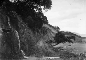 The road to the Tapu goldfields, Coromandel Peninsula