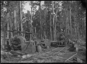 Climax locomotive 898 hauling logs in the bush near Ohakune
