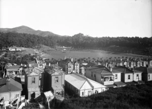 Houses with Newtown Park in the background