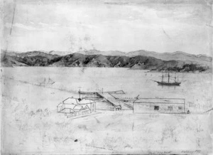 [Barraud, Charles Decimus] 1822-1897 :The ship "Wild Duck", Wellington [186-]