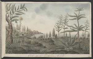 Artist unknown: Gezigt op het Pynboomen-Eiland [1774, copied ca 1785]