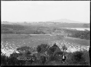 Onepoto Lagoon from Thorn Hills, Northcote, Auckland