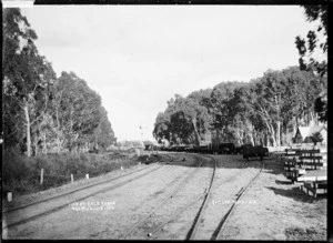 Railway line by the saleyards at Ngaruawahia, 1910 - Photograph taken by G & C Ltd