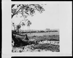 Scene in Fiji, during World War II, with a military camp in the distance