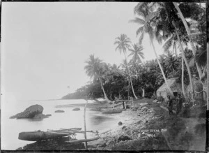 Coastal scene, Ovalau, Fiji