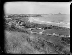 Houses at Fitzroy Beach, New Plymouth
