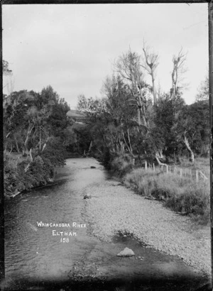 Waingongoro River near Eltham