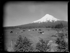 View of Mount Egmont