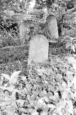 Lee family grave, plot 5709, Bolton Street Cemetery