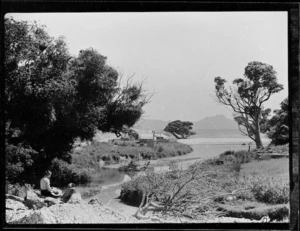 View of beach and stream, Northland