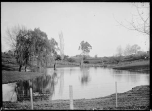 Small lake at Kihikihi, circa 1912
