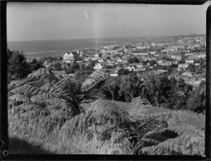 View of New Plymouth