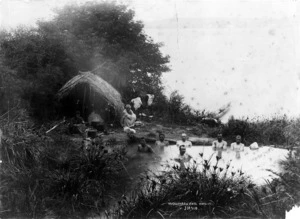 Martin, Josiah :Maori group alongside men bathing in Manupirua Springs