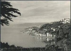 View of Oriental Bay, Wellington