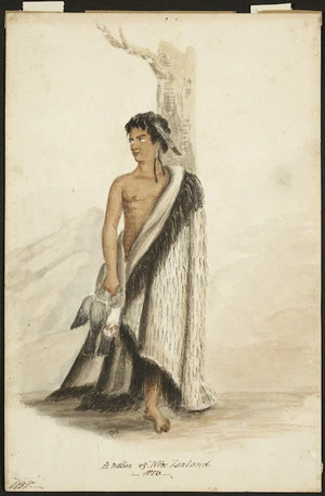 Vigors, Philip Doyne (Lieutenant), 1825-1903 :A native of New Zealand. 1850.