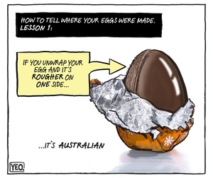 How to tell where your eggs were made. Lesson 1: If you unwrap you egg and it's ROUGHER on ONE side it's Australian