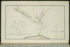 Plan of the forests of Tekaro and Teporawa