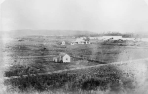 Houses and landscape, Rangiriri