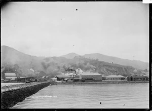 View of Moanataiari, Thames from the Goods Wharf