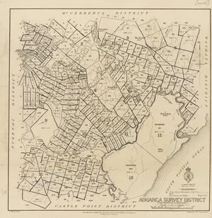 Aohanga Survey District [electronic resource] / E.R. Wilson, delt. 1896.