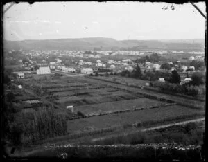 Wanganui, including Campbell Street and James Laird's Egmont Nursery