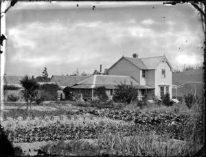 Unidentified house and vegetable garden, probably Wanganui