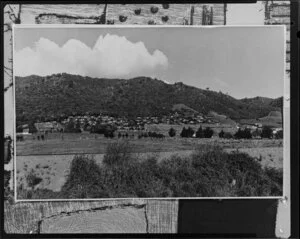 Fletcher Developments shots at Waikanae