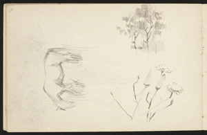 Hill, Mabel 1872-1956 :[A horse, trees, dandelions. 1894?]