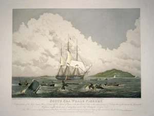 Huggins, William John 1781-1845 :South Sea whale fishery / painted by W.J.Huggins ; engraved by T.Sutherland. London, published January 1, 1825, by W.J.Huggins, Marine Painter ...