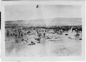 11th Squadron, Auckland Mounted Rifles, breaking camp at Bethlehem