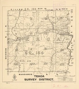 Tekoa Survey District [electronic resource].