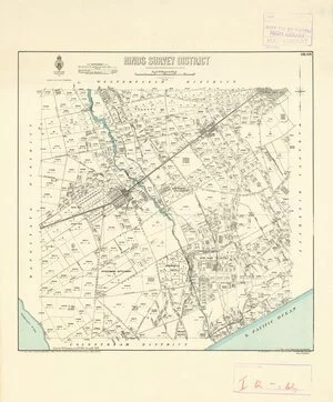 Hinds Survey District [electronic resource] / drawn by F.W. Flanagan, 1884.