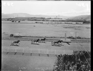 Trotting at Hutt Park