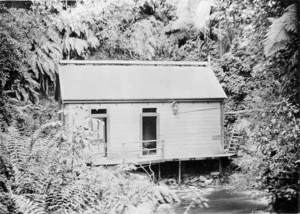 Bath House, at Morere hot springs