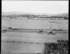 Trotting at Hutt Park