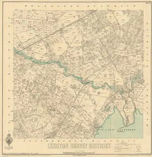Leeston Survey District [electronic resource] / drawn by H. McCardell, June 1890.