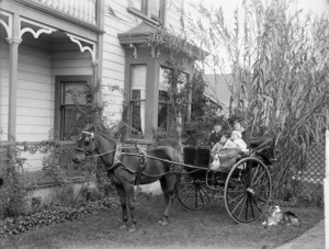 Dr Ernest Edward Porritt and family in a trap outside their home at 59 Ingestre Street, Wanganui