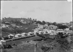 View of Remuera and Mount Hobson