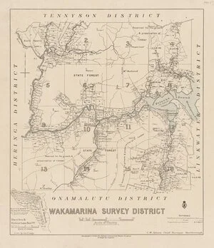 Wakamarina Survey District [electronic resource] / drawn by Jas. E. Leahy.