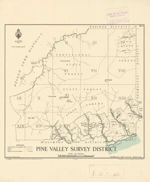 Pine Valley Survey District [electronic resource] / drawn by K.P. Potete, 1933.