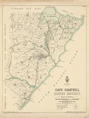 Cape Campbell Survey District [electronic resource] / drawn by W.F. Burgess.