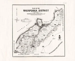 Plan of the Wakapuaka District [electronic resource].